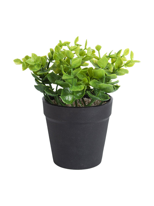 VON CASA Artificial Flower Potted Plant - Black Pot