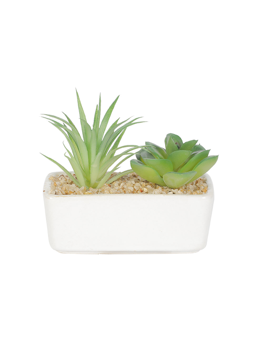 VON CASA Succulent Planters With Rectangular Flower Pot