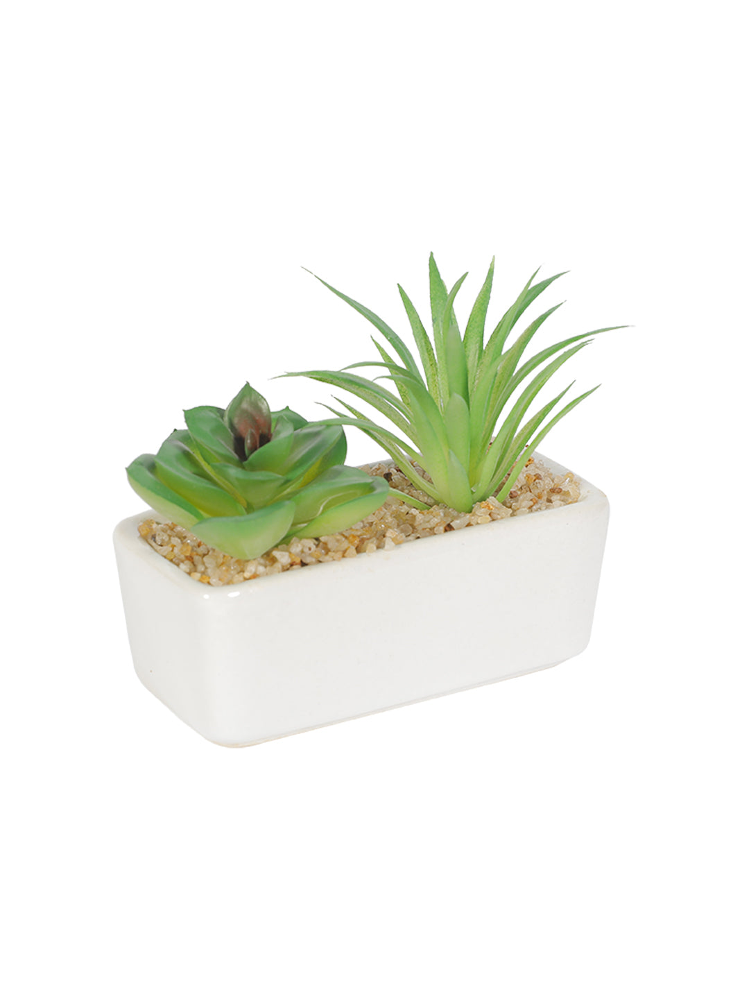 VON CASA Succulent Planters With Rectangular Flower Pot