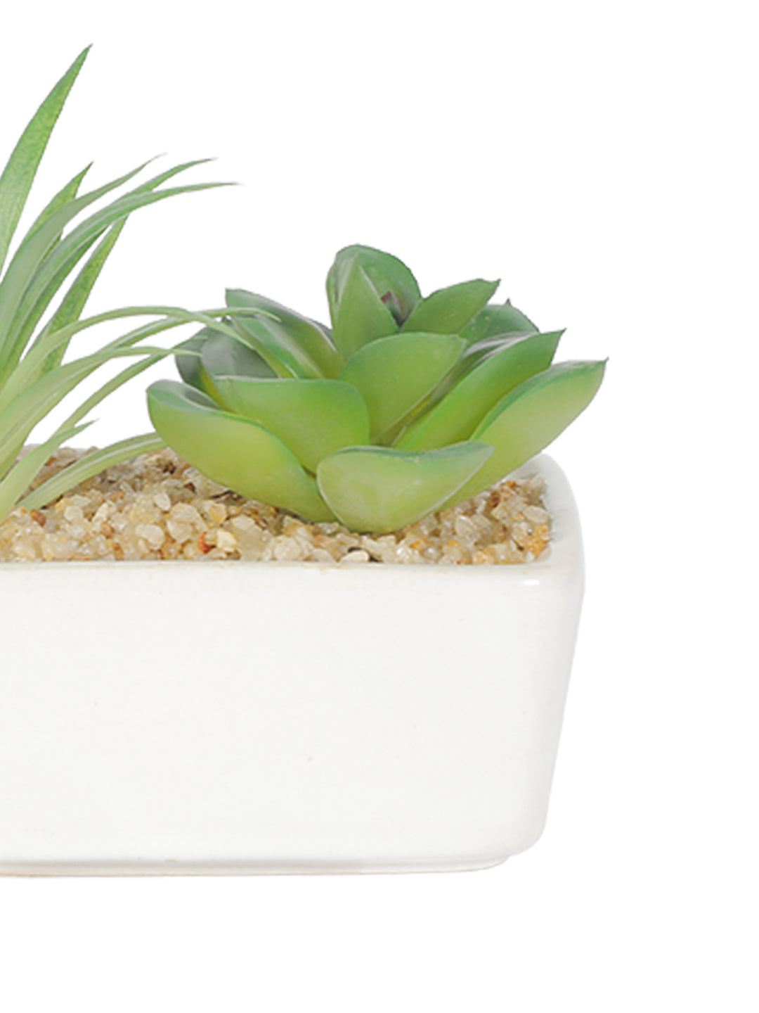 VON CASA Succulent Planters With Rectangular Flower Pot