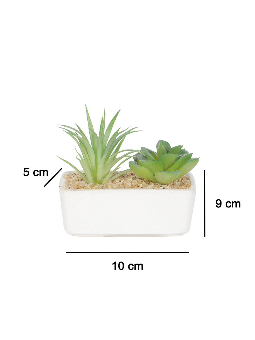 VON CASA Succulent Planters With Rectangular Flower Pot