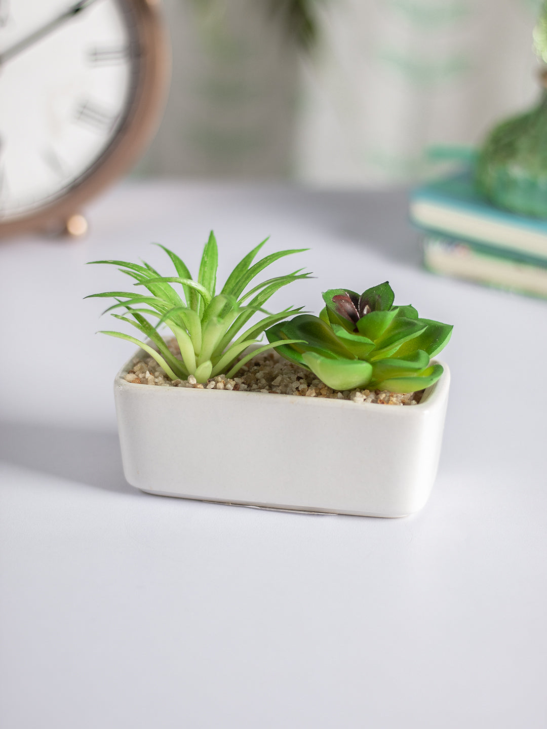VON CASA Succulent Planters With Rectangular Flower Pot