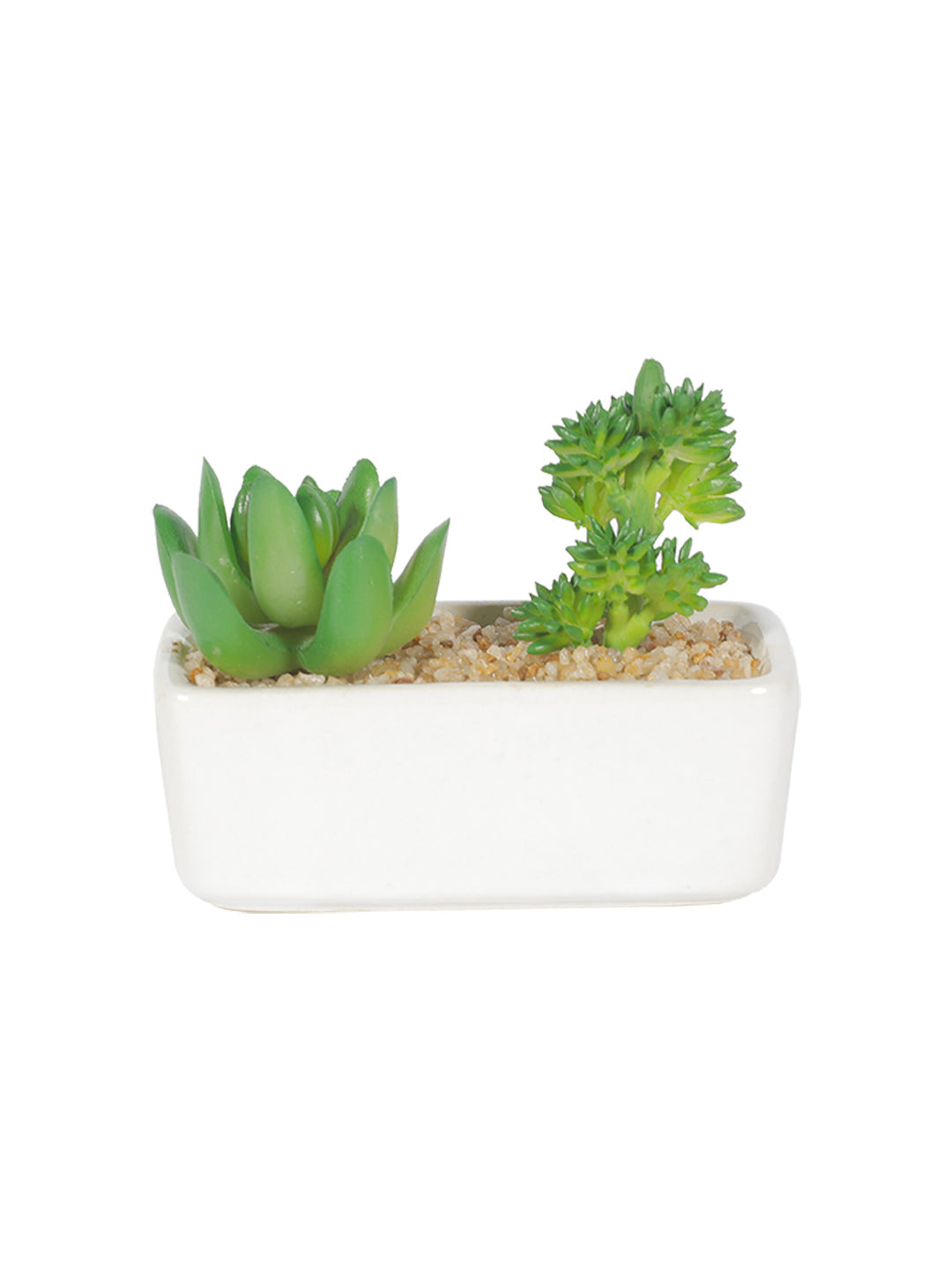 VON CASA Succulent Planters With Flower Pot - White