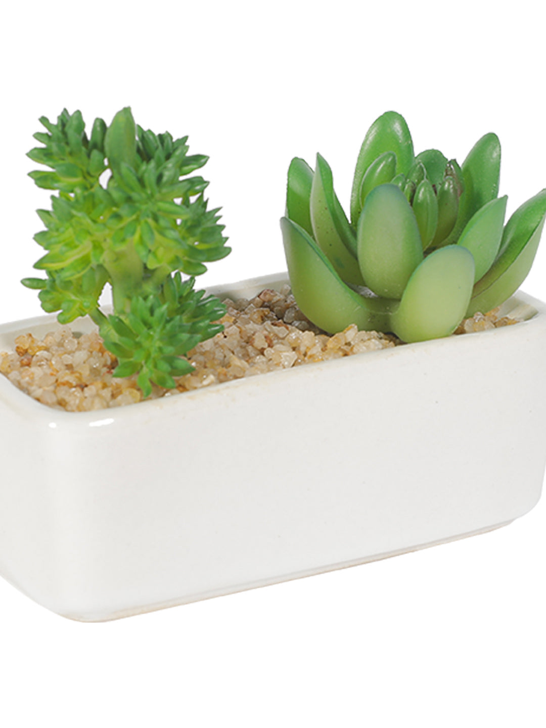 VON CASA Succulent Planters With Flower Pot - White