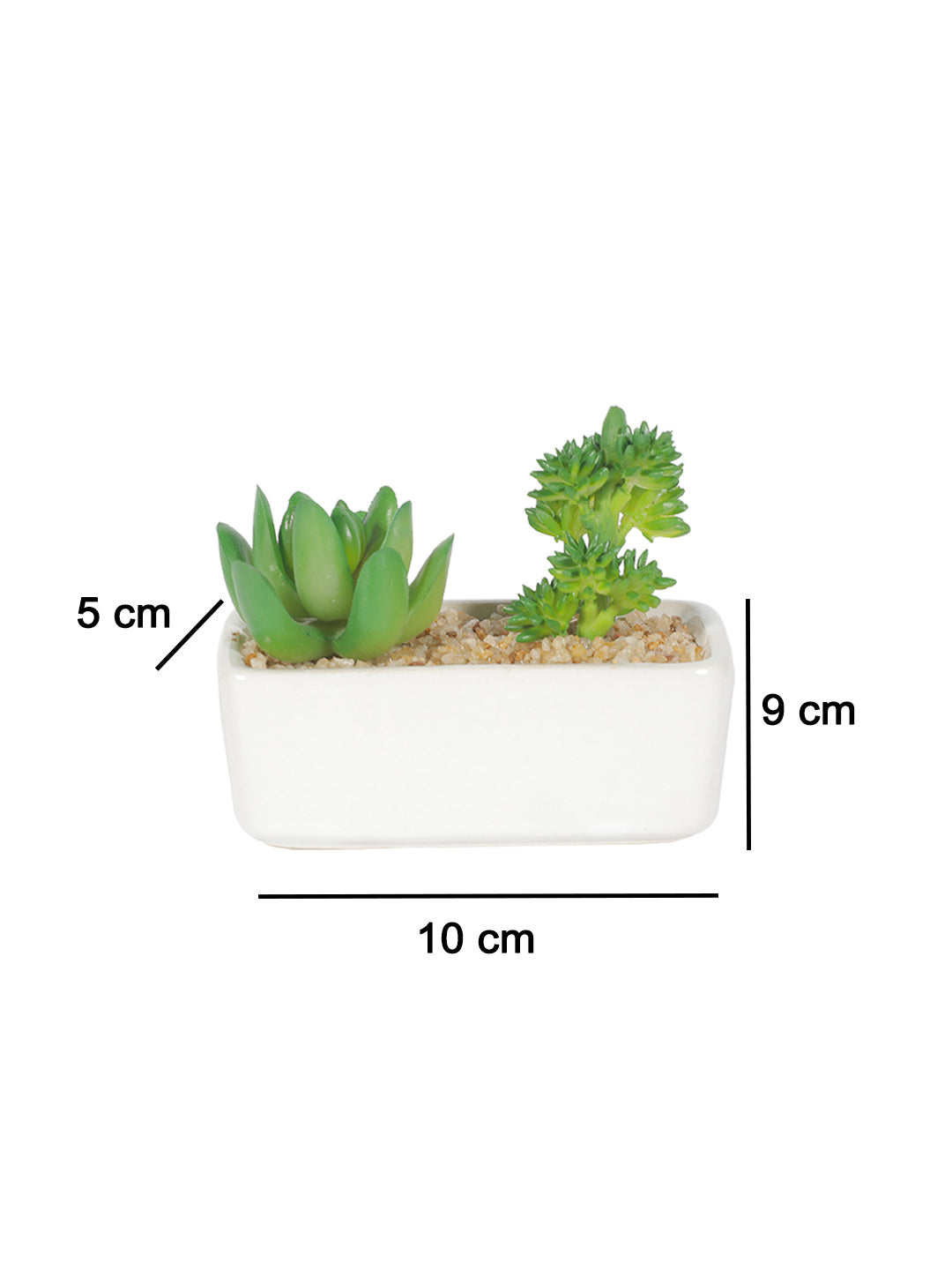 VON CASA Succulent Planters With Flower Pot - White