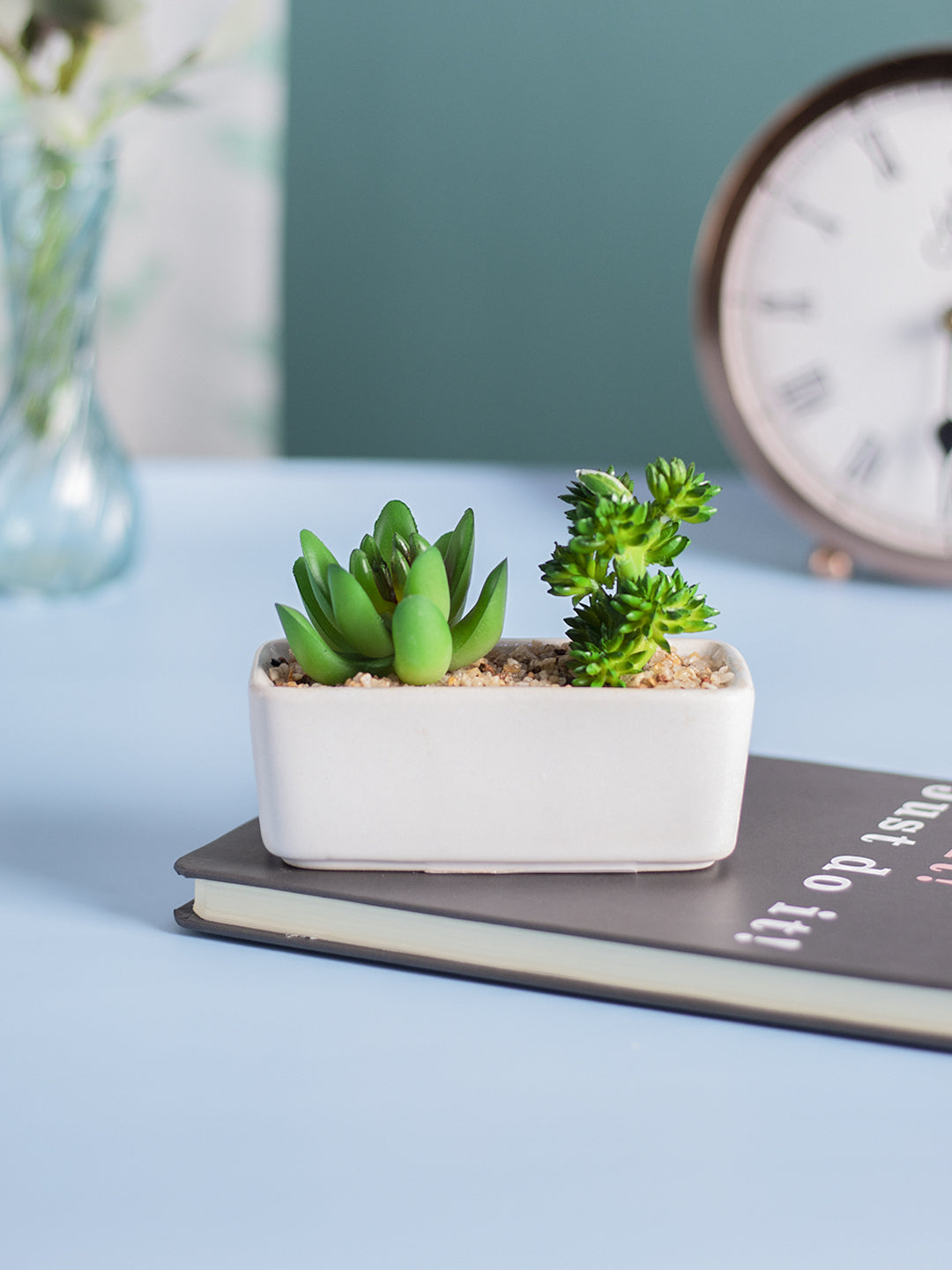 VON CASA Succulent Planters With Flower Pot - White