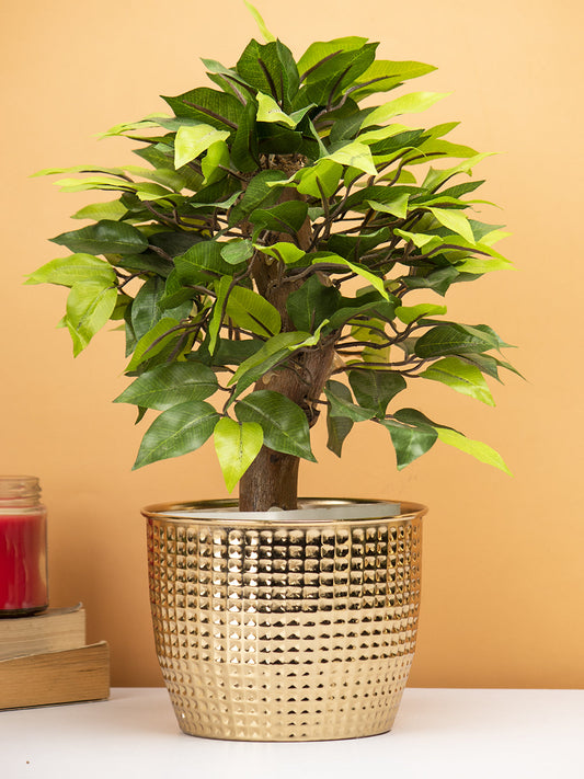 VON CASA Diwali Decoration Item PLANTER