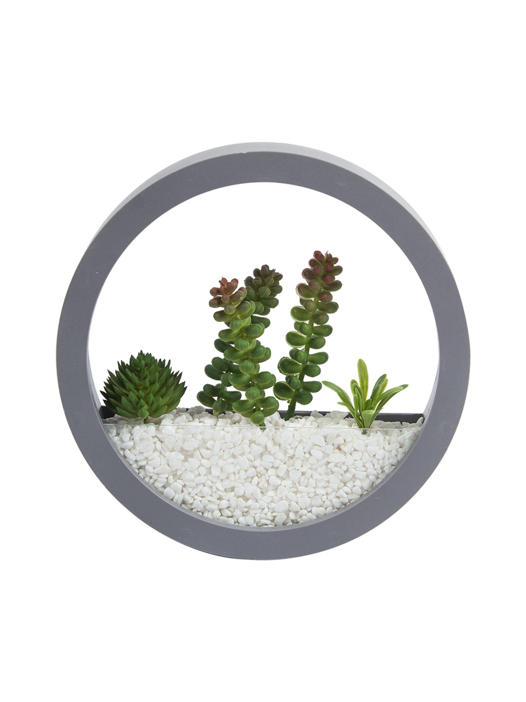 VON CASA Elegant Round Transparent Wall Hanging Terrarium