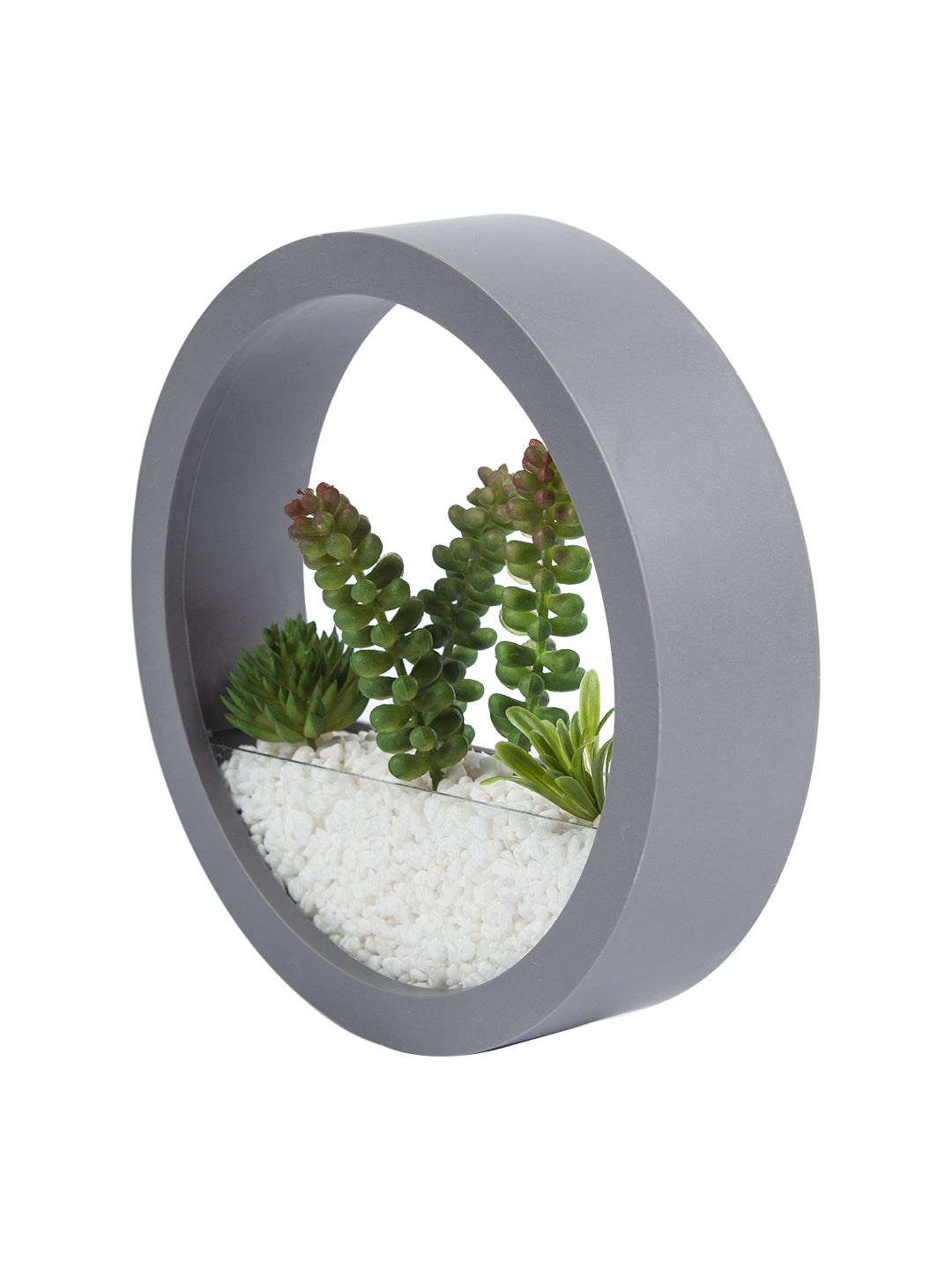 VON CASA Elegant Round Transparent Wall Hanging Terrarium