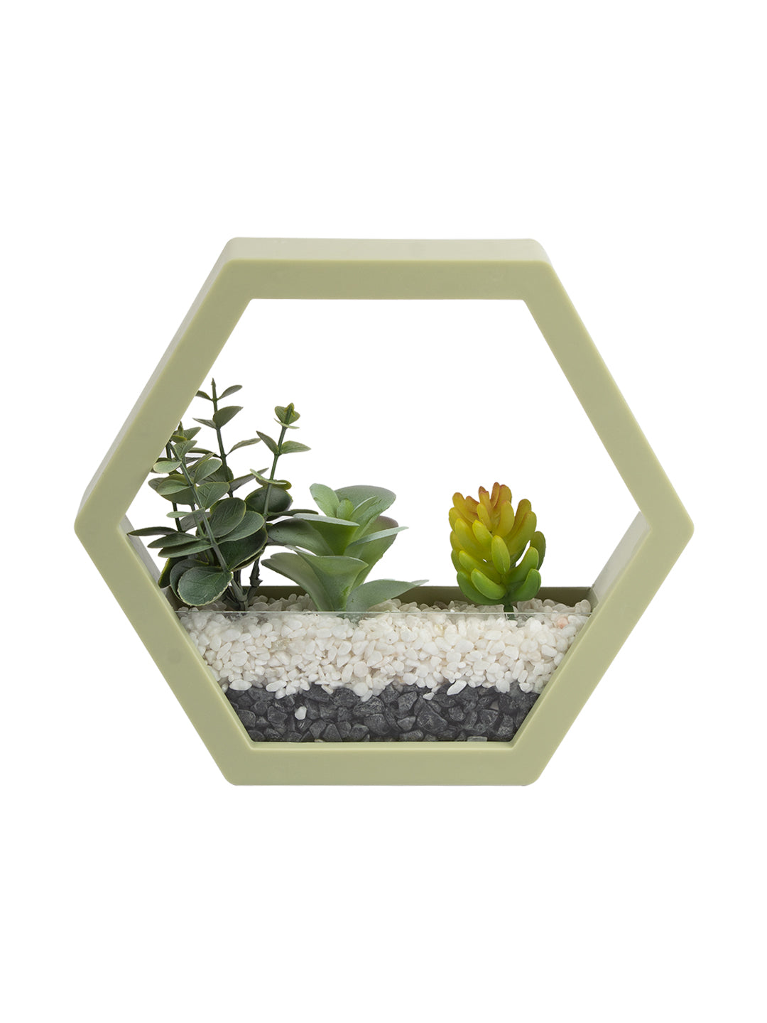 VON CASA Elegant Hexagonal Transparent Wall Hanging Terrarium