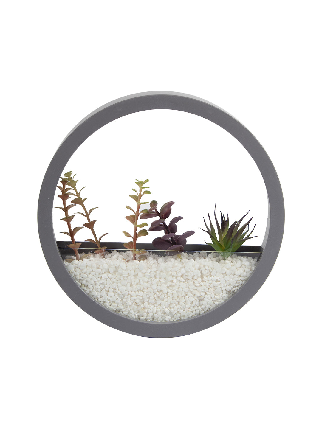 VON CASA Elegant Round Transparent Wall Hanging Glass Terrarium