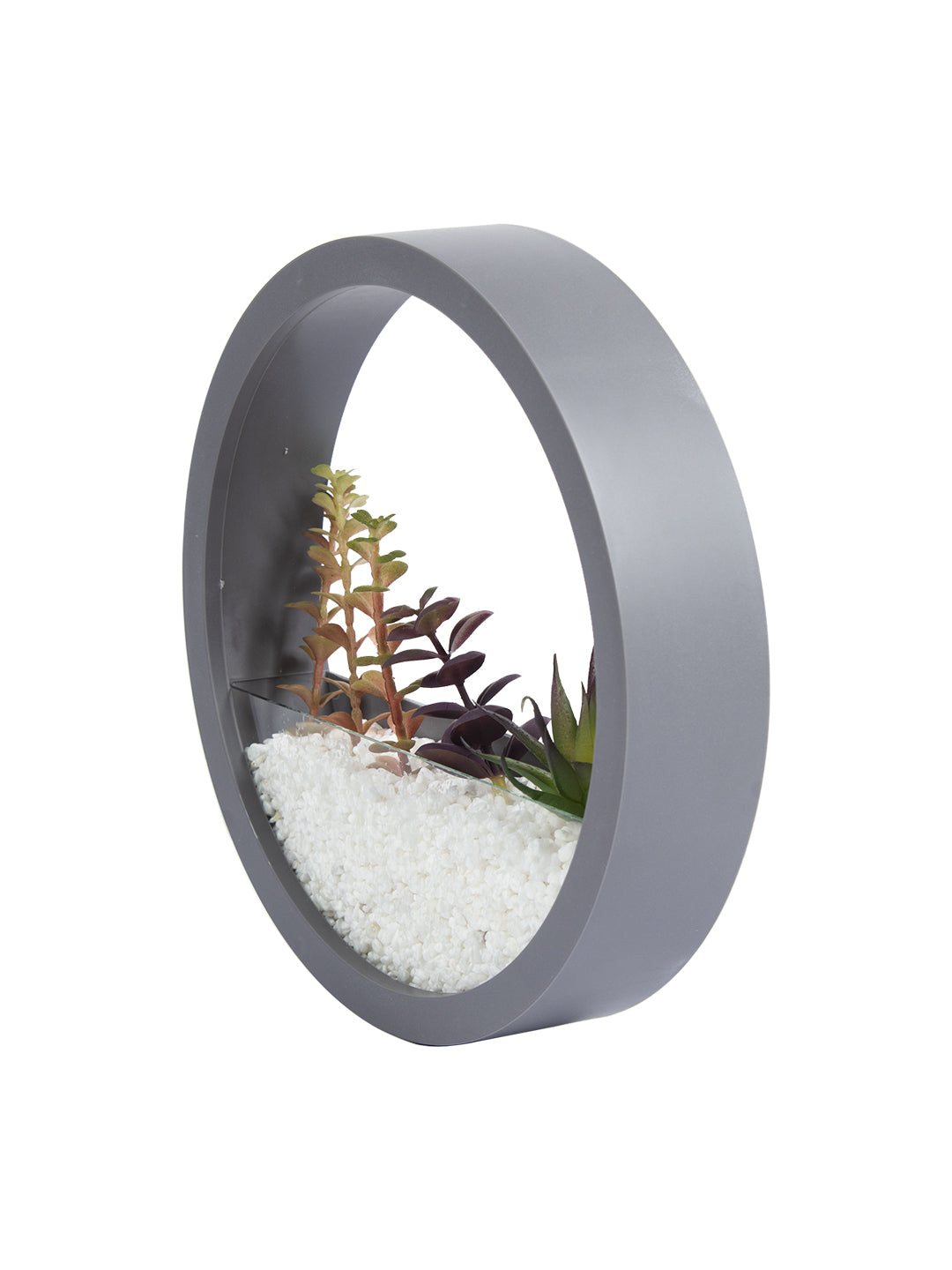 VON CASA Elegant Round Transparent Wall Hanging Glass Terrarium