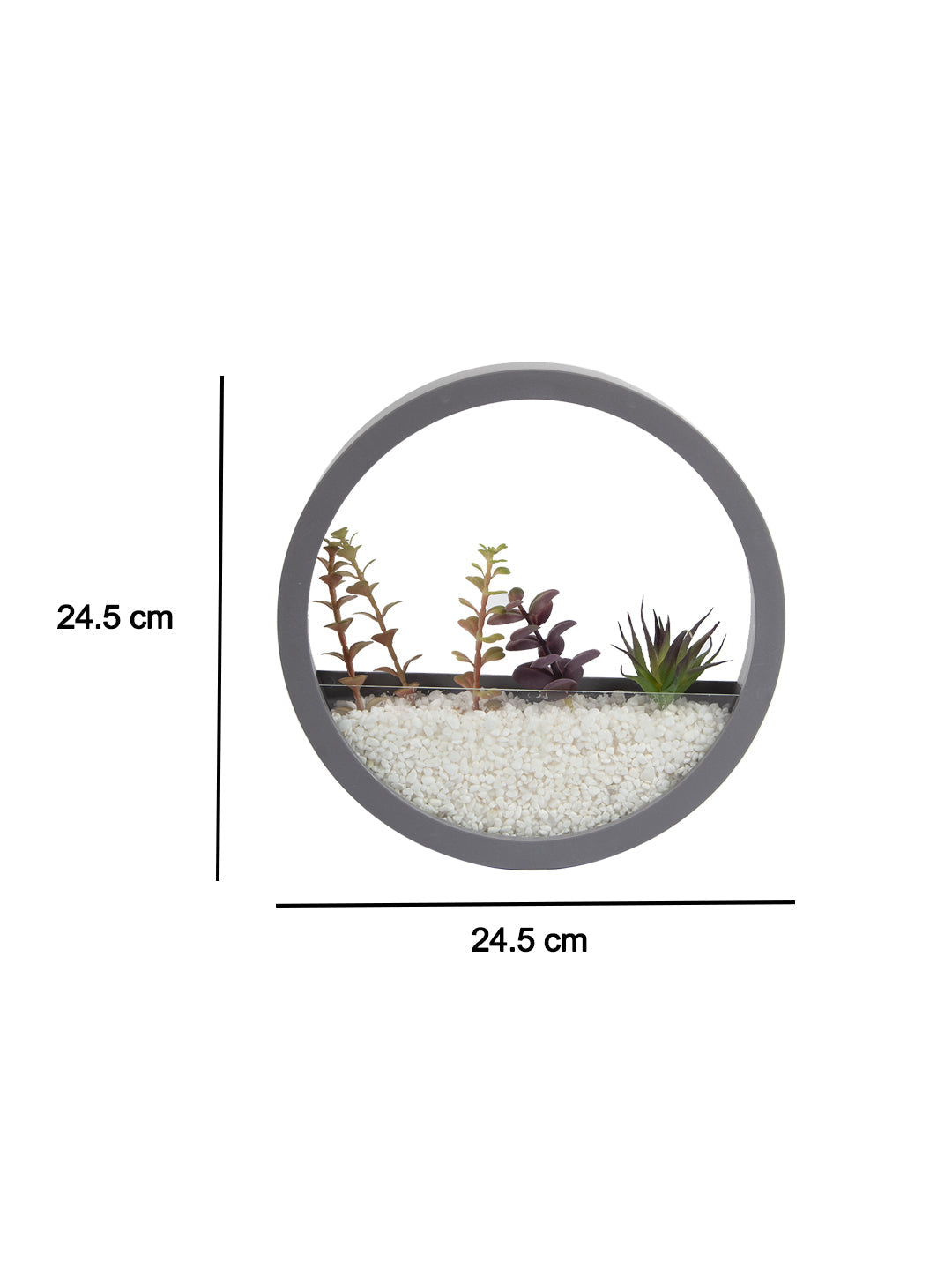 VON CASA Elegant Round Transparent Wall Hanging Glass Terrarium