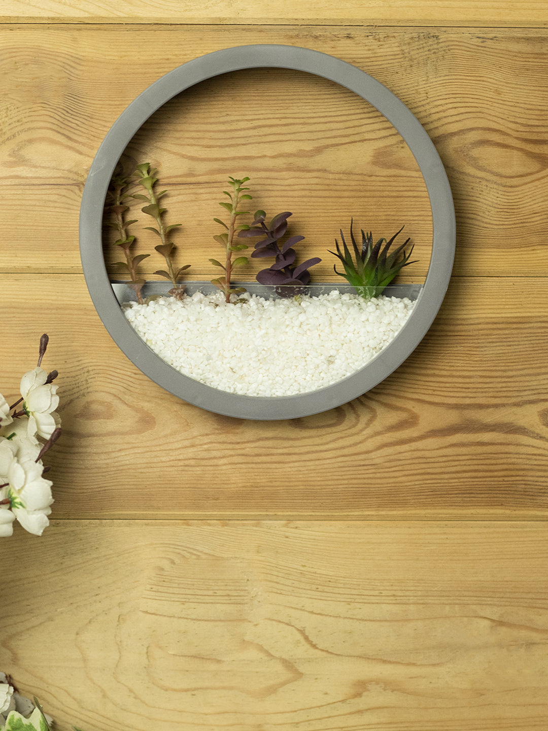wall hanging glass planter Elegant Round Transparent Wall Hanging Glass Terrarium – VON CASA