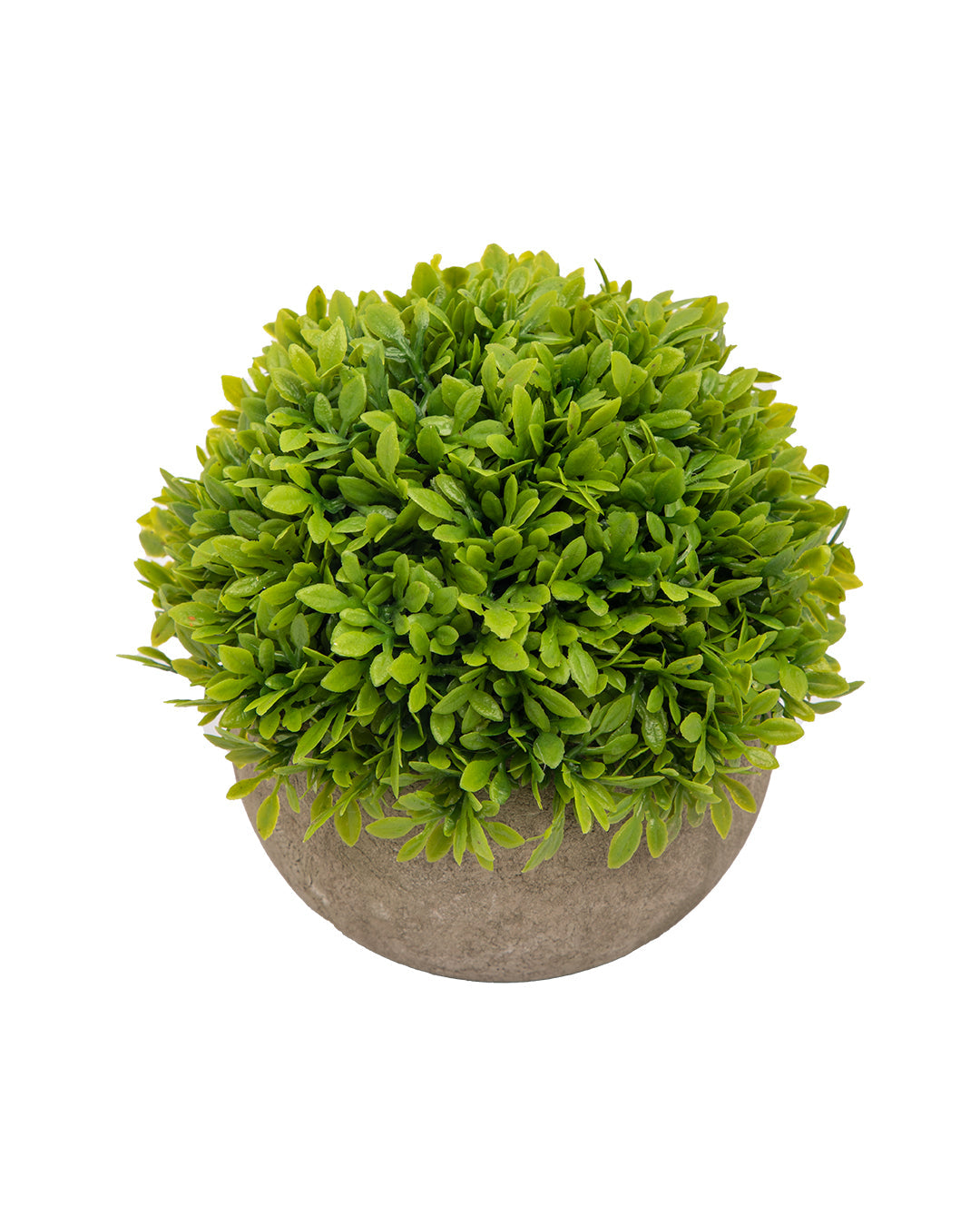 VON CASA Artificial Flower with Pot, Green, Plastic
