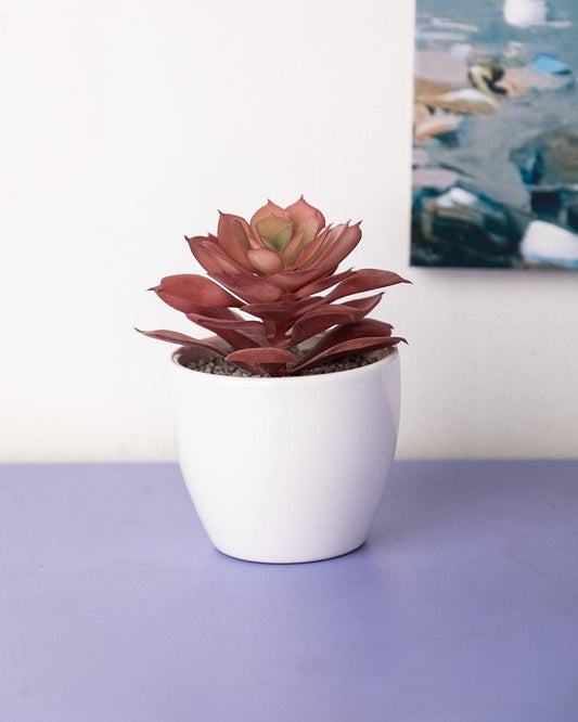 VON CASA Artificial Flower with Pot, Red, Plastic & Ceramic