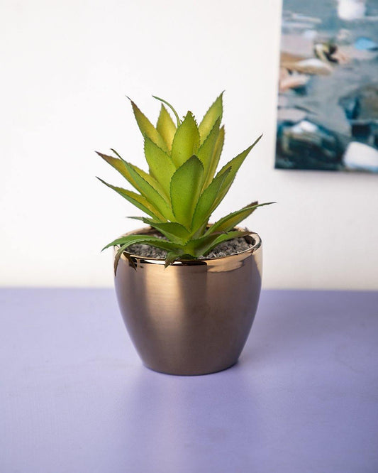 VON CASA Artificial Flower with Pot, Green, Plastic & Ceramic