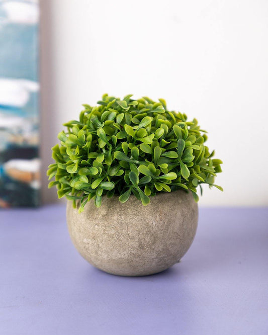 VON CASA Artificial Flower with Pot, Green, Plastic