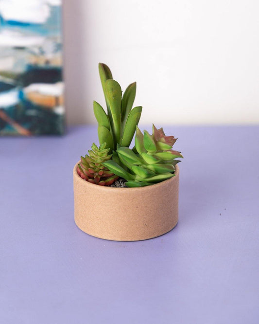 VON CASA Artificial Flower with Pot, Multicolour, Plastic & Paper