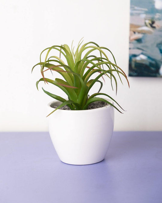 VON CASA Artificial Flower with Pot, Green, Plastic & Ceramic