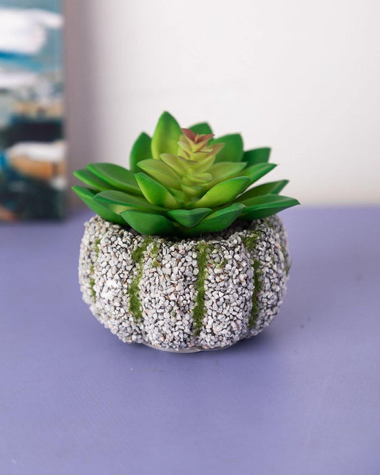 VON CASA Artificial Flower with Pot, Green, Plastic