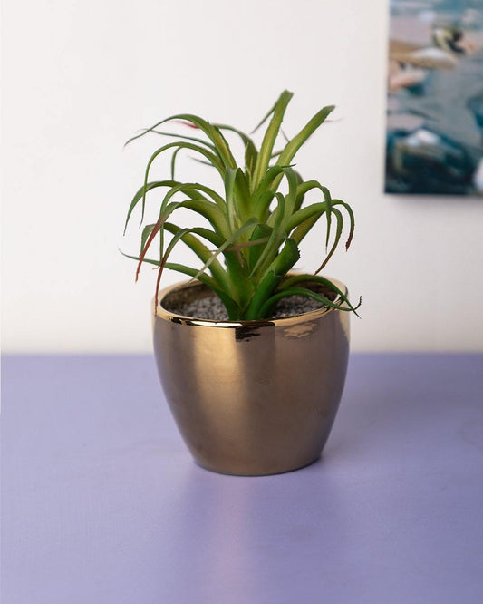VON CASA Artificial Flower with Pot, Green, Plastic & Ceramic