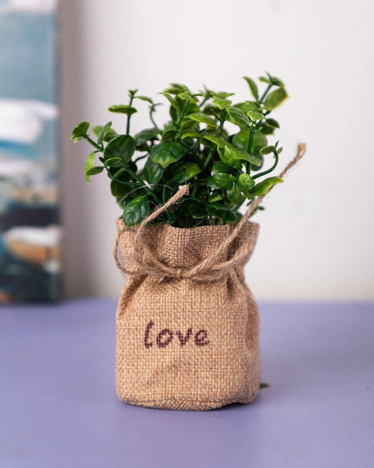VON CASA Artificial Flower with Pot, Green, Plastic