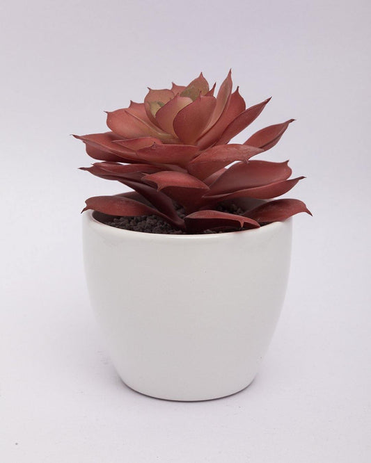 VON CASA Artificial Flower with Pot, Red, Plastic & Ceramic
