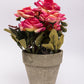 VON CASA Artificial Flower with Pot, Multicolour, Plastic