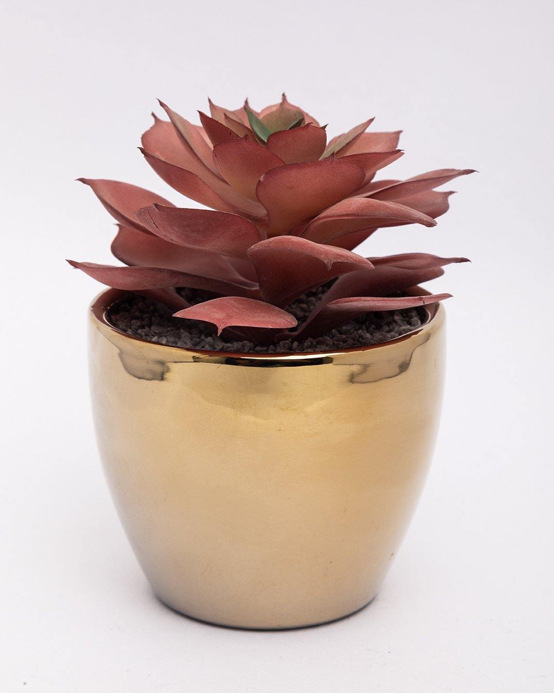 VON CASA Artificial Flower with Pot, Red, Plastic & Ceramic