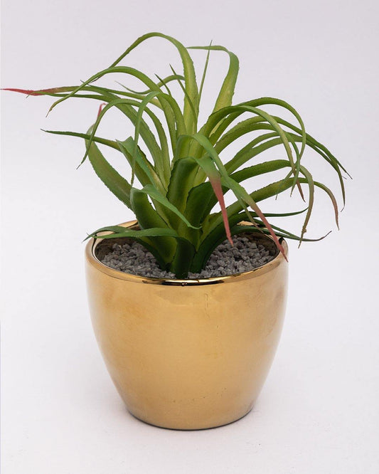 VON CASA Artificial Flower with Pot, Green, Plastic & Ceramic