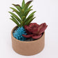 VON CASA Artificial Flower with Pot, Multicolour, Plastic & Paper