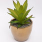 VON CASA Artificial Flower with Pot, Green, Plastic & Ceramic