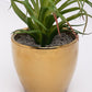 VON CASA Artificial Flower with Pot, Green, Plastic & Ceramic