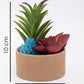 VON CASA Artificial Flower with Pot, Multicolour, Plastic & Paper