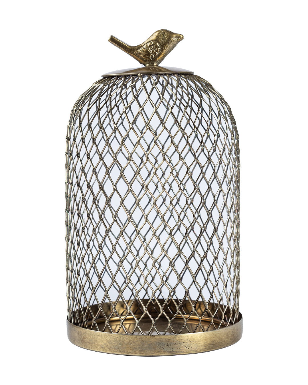 VON CASA Metal Mesh Cloche, Mild Steel, Golden Colour, Set of 2