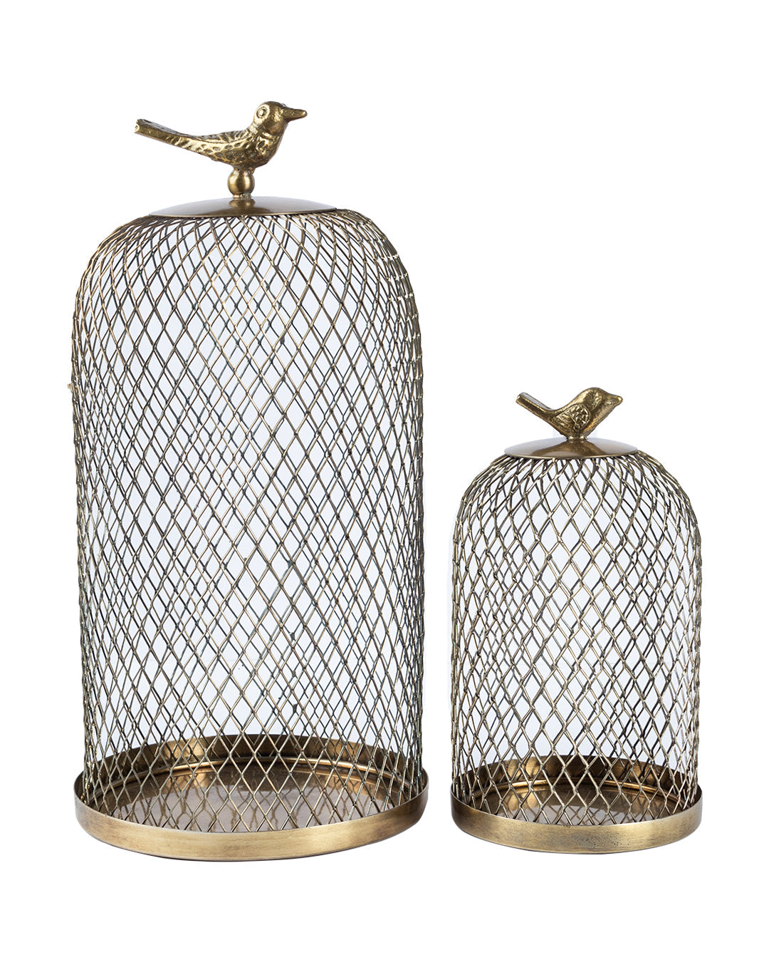 VON CASA Metal Mesh Cloche, Mild Steel, Golden Colour, Set of 2