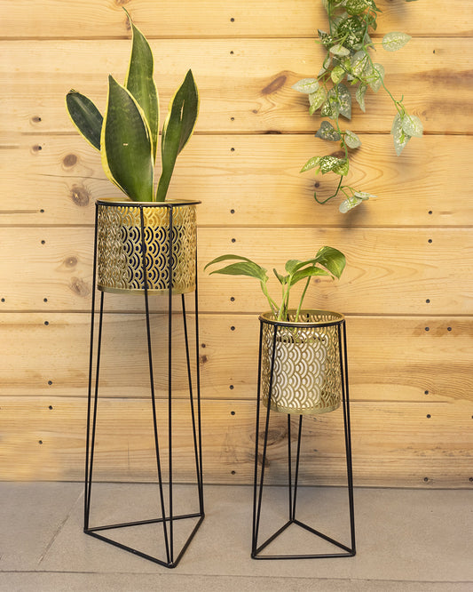 VON CASA Metal Planter with Stand, Golden Colour, Iron, Set of 2
