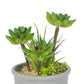VON CASA Fake Mini Succulent Plant Pot - Grey Pot