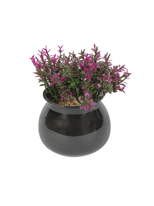 VON CASA Plastic Purple Flower With Pot - Black 