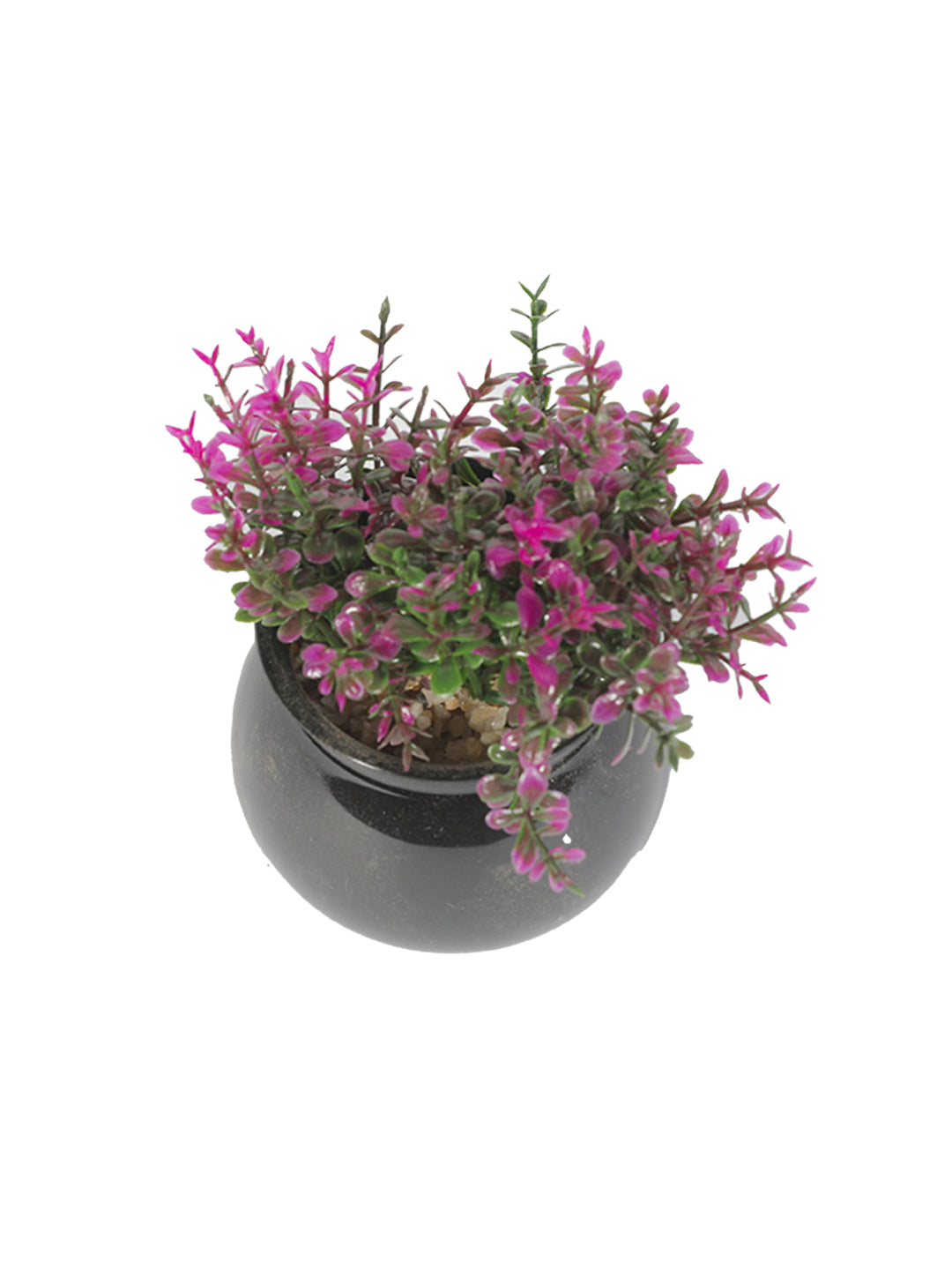VON CASA Plastic Purple Flower With Pot - Black 