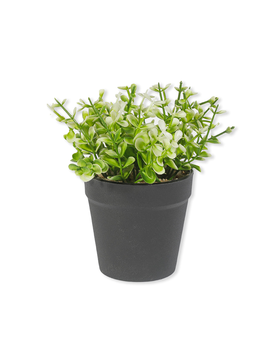 VON CASA Artificial White Flower Potted Plant - Black Pot