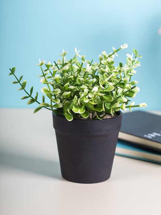 VON CASA Artificial White Flower Potted Plant - Black Pot