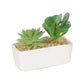 VON CASA Succulent Planters With White Flower Pot