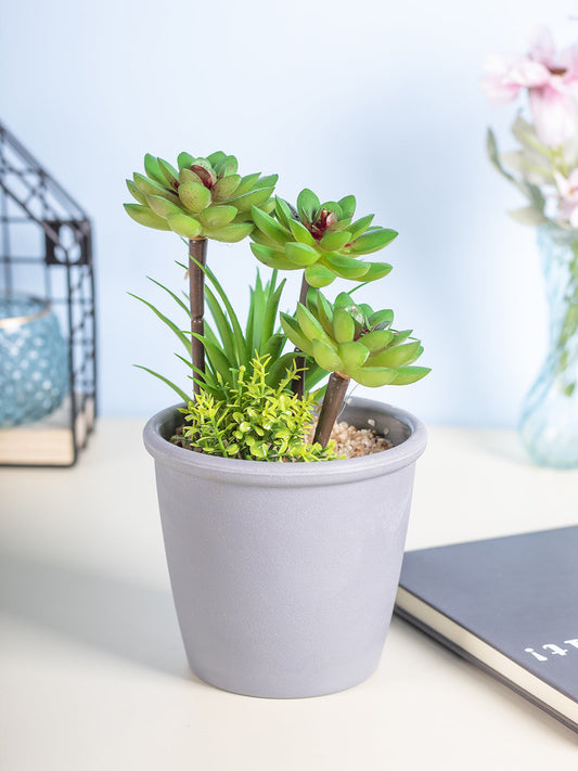 VON CASA Fake Mini Succulent Plant Pot - Grey