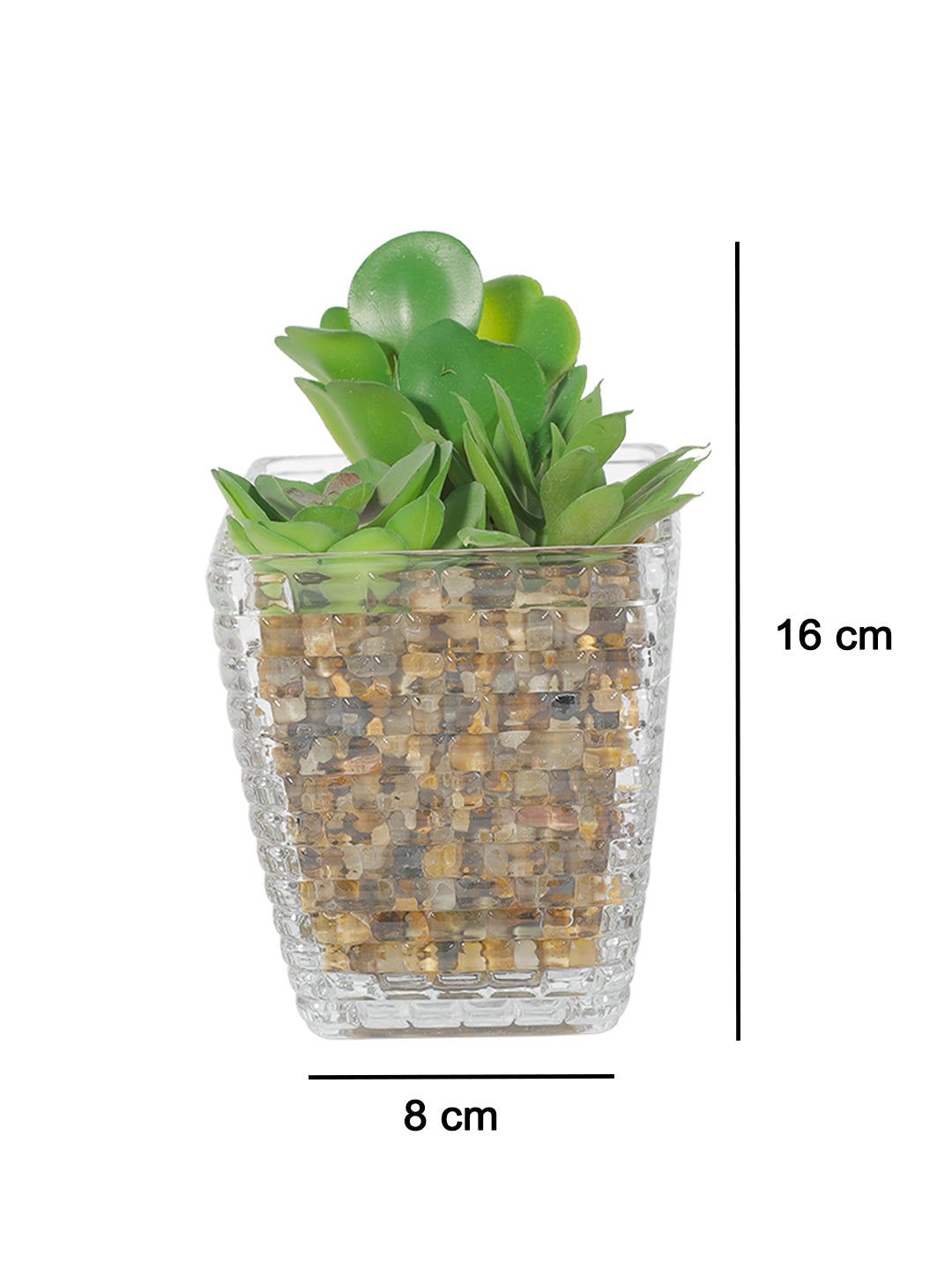 VON CASA Fake Mini Succulent Plant With Glass Pot