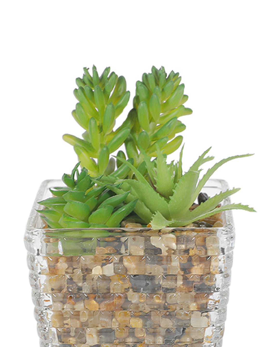 VON CASA Fake Mini Succulent Plant With Transparent Pot