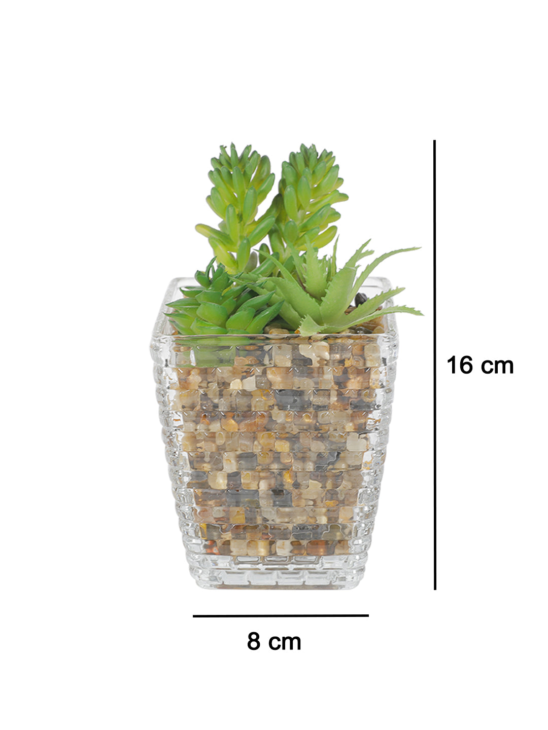 VON CASA Fake Mini Succulent Plant With Transparent Pot