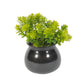 VON CASA Plastic Green Flower With Pot - Black 