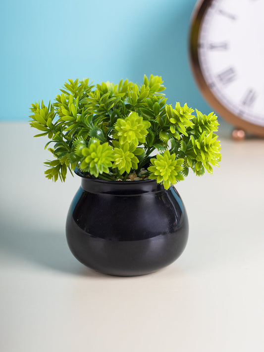 VON CASA Plastic Green Flower With Pot - Black 